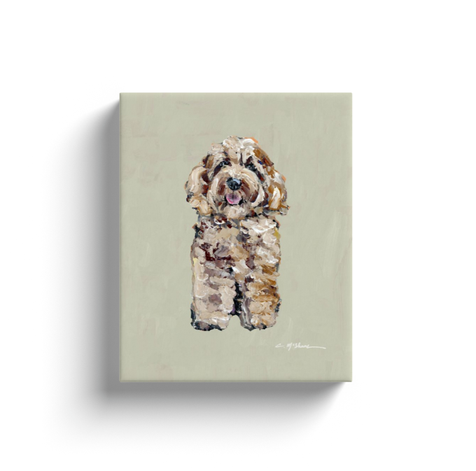"Cockapoo" canvas print