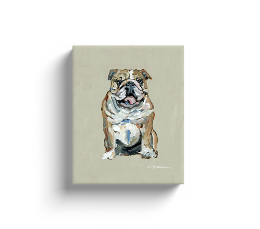 "English Bulldog fawn & white" canvas print