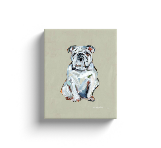 "English Bulldog white" canvas print