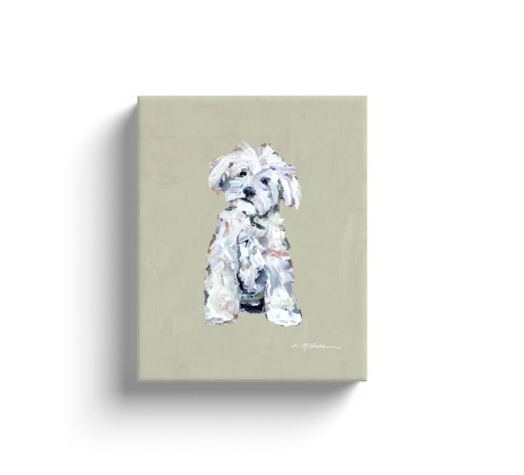 "Maltipoo White" canvas print
