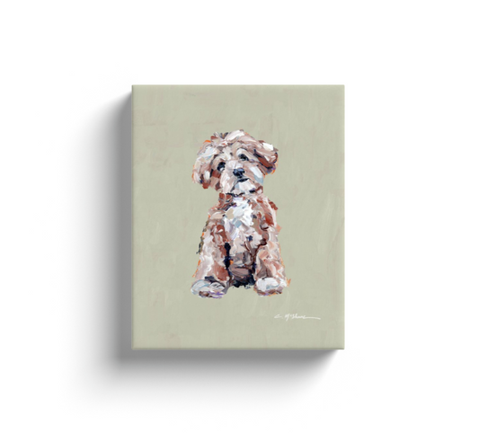 Apricot Maltipoo Dog Canvas Print