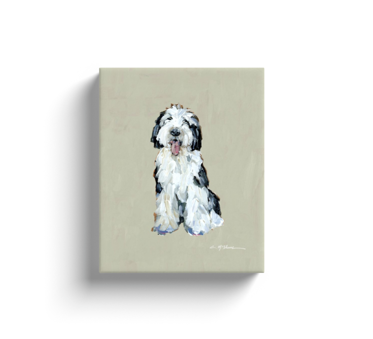 "Sheepadoodle I" canvas print