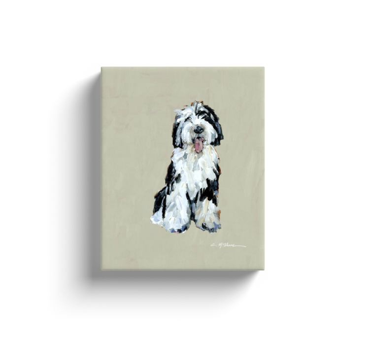 "Sheepadoodle II" canvas print
