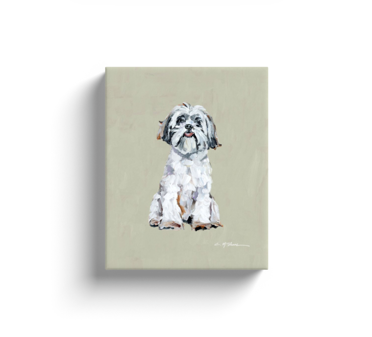 "Shih Tzu White" canvas print