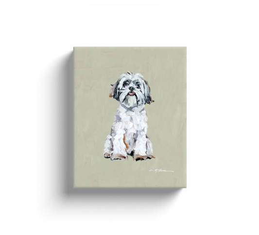 White Shih Tzu Dog Canvas Print
