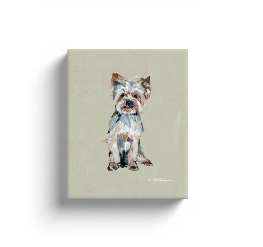 Light Yorkie Dog Canvas Print