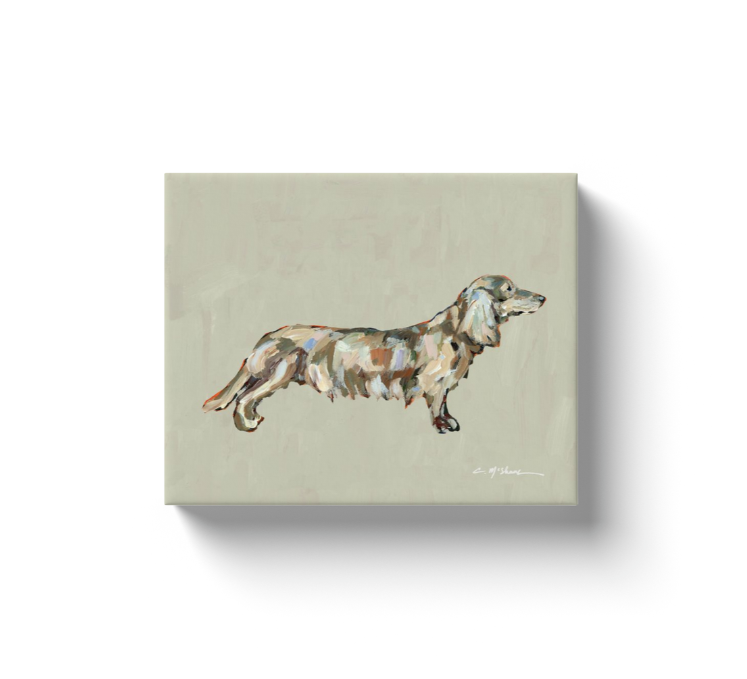 "Dachshund Blonde Long Hair" canvas print