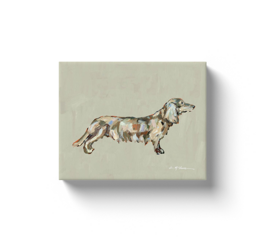 Blonde Dachshund with Long Hair Dog Canvas Print
