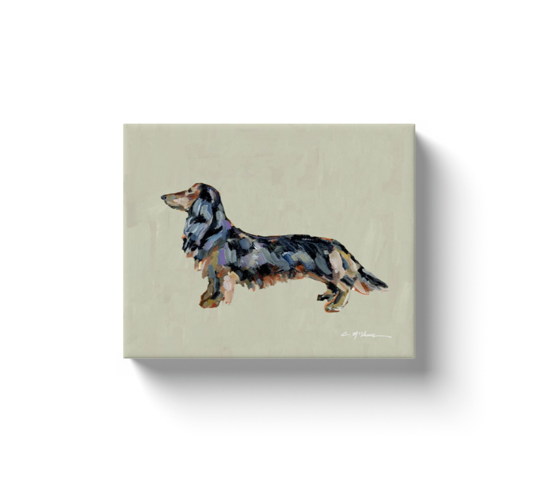 "Dachshund Black & Tan" canvas print