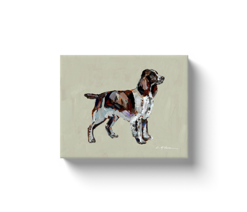 "English Springer Spaniel" canvas print