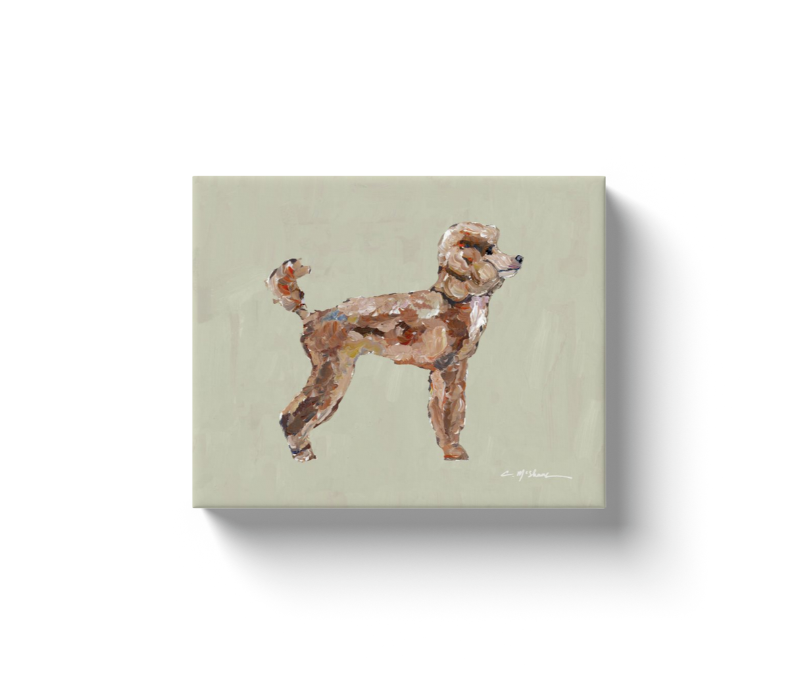 "Poodle Apricot" canvas print