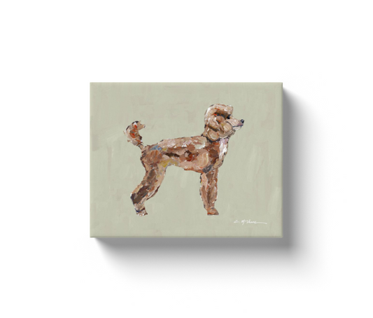 Apricot Poodle Dog Canvas Print