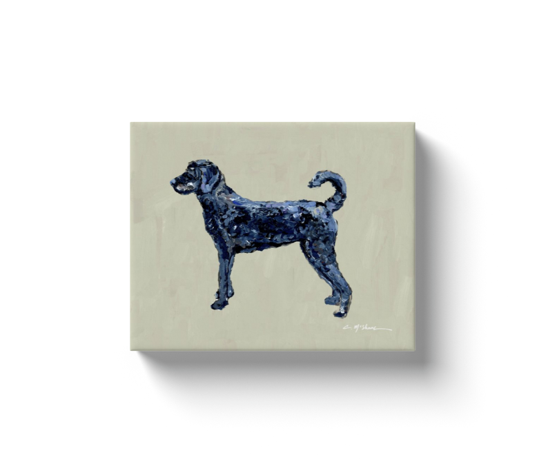 "Labradoodle Black" canvas print