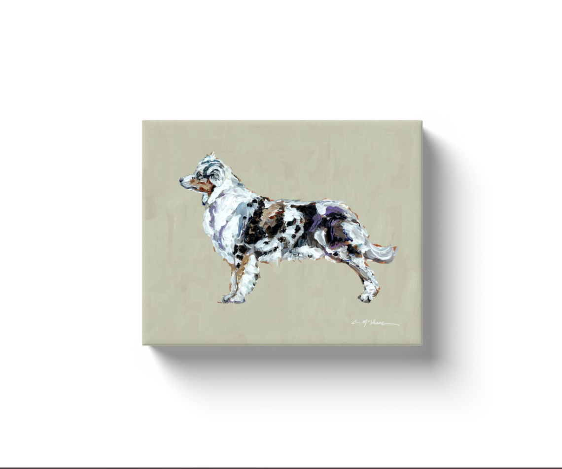 "Australian Shepherd Blue Merle" canvas print