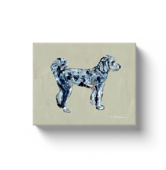 "Aussiedoodle" canvas print