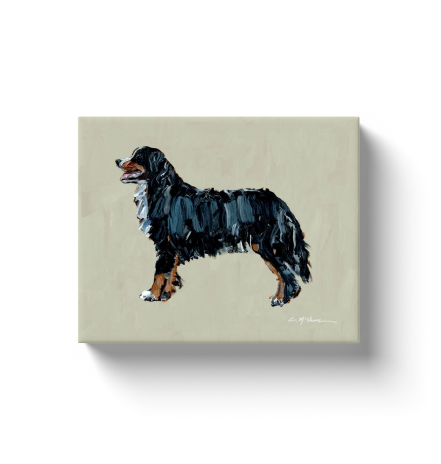 "Bernese Mountain Dog" canvas print