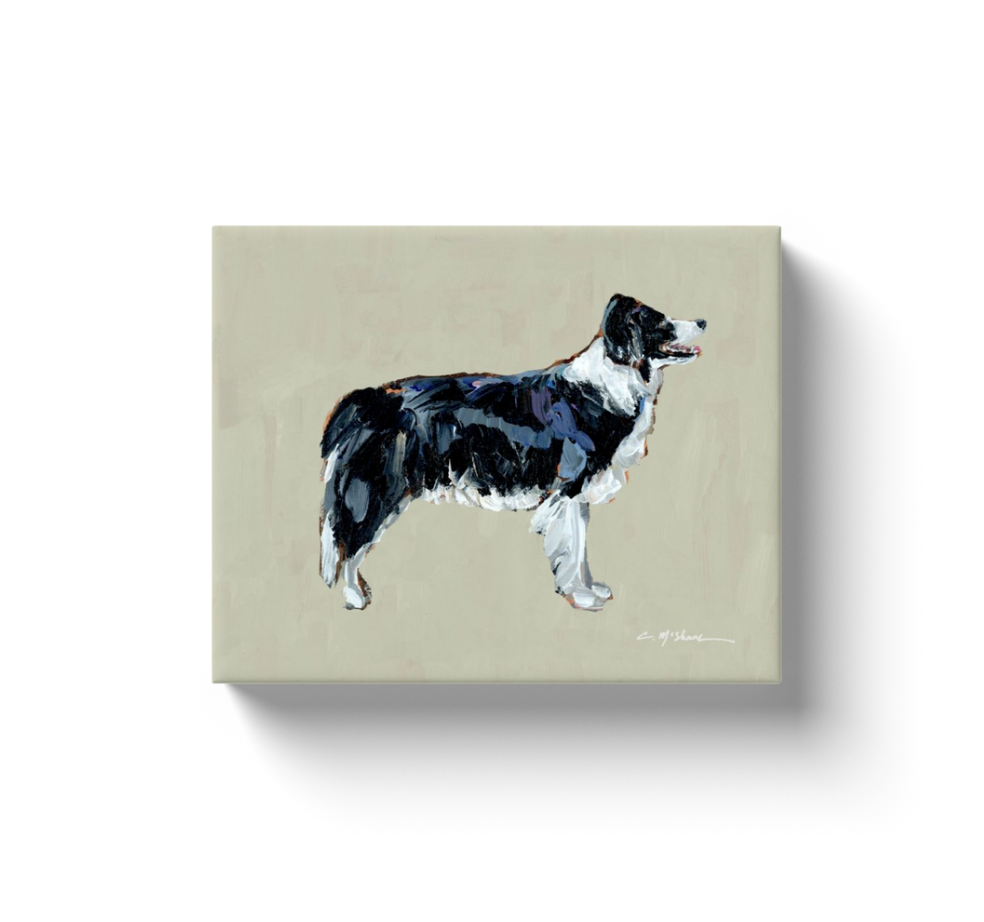 "Border Collie" canvas print