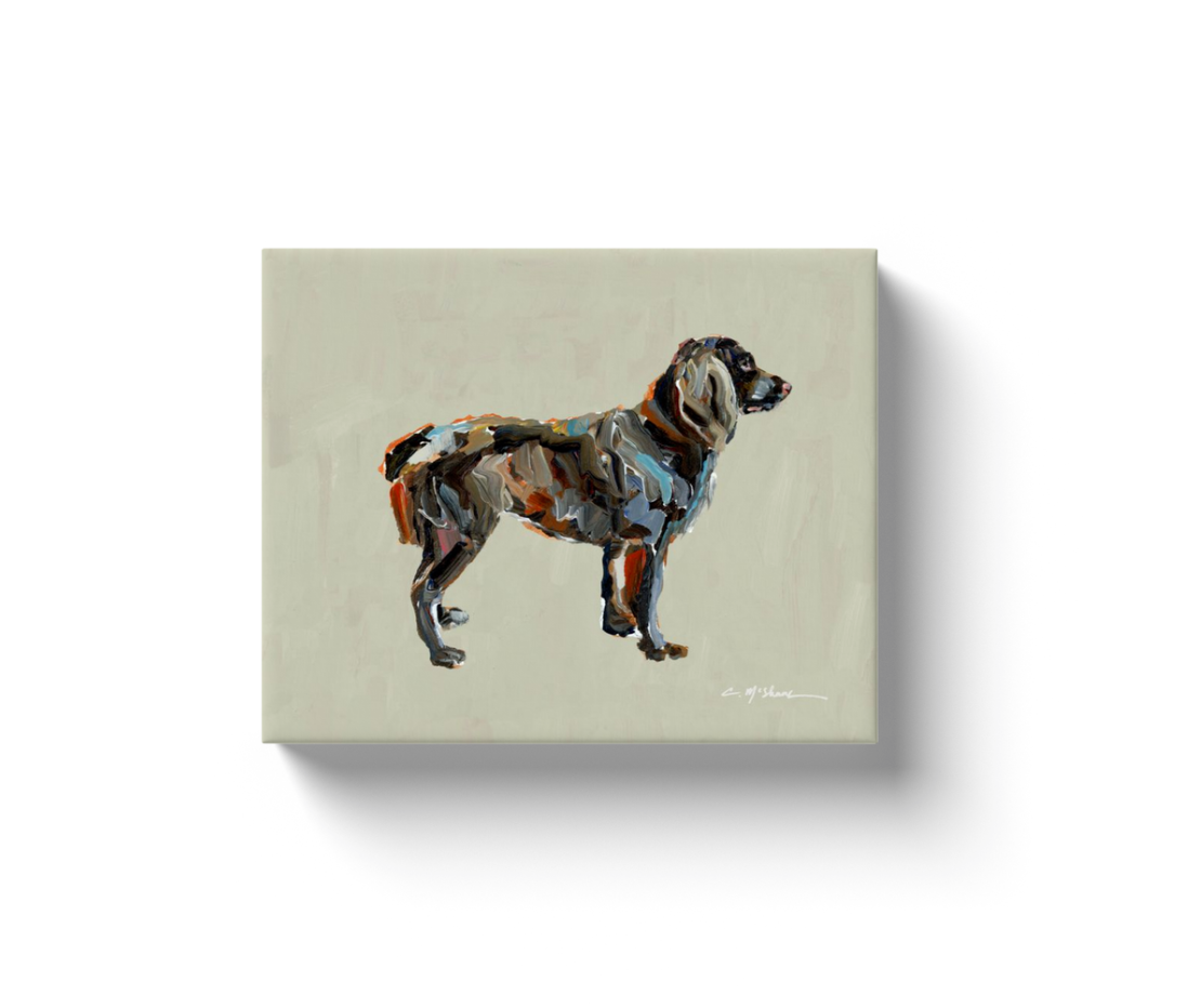 "Boykin" canvas print